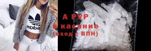 амф Арсеньев
