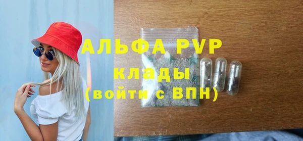 амф Арсеньев