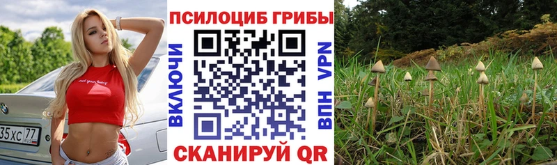 darknet телеграм Мантурово Псилоцибиновые грибы ЛСД даркнет сайт